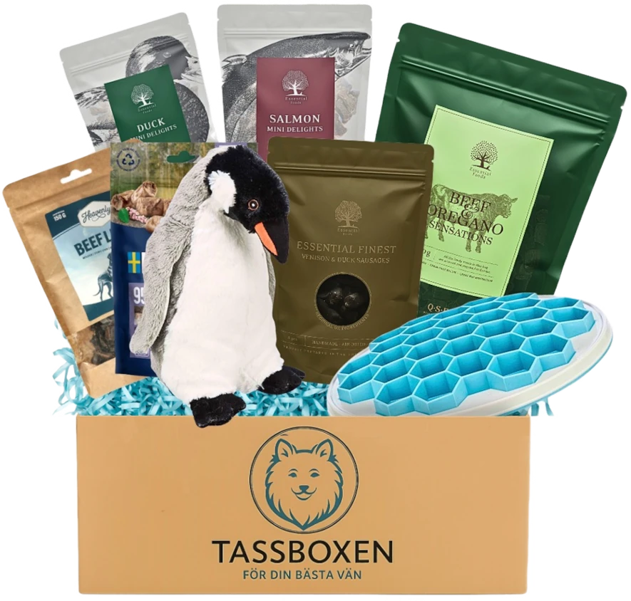 Skulle din hund gilla denna Tassboxen?